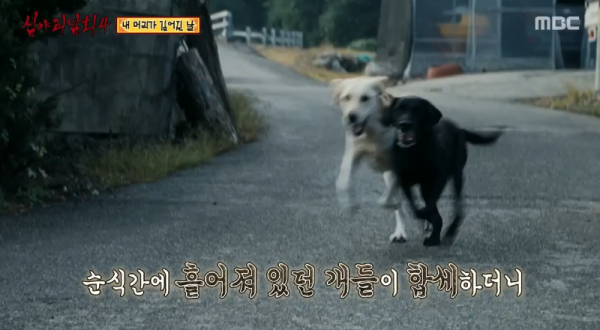 심야괴담회4 내 머리가 길어진 날